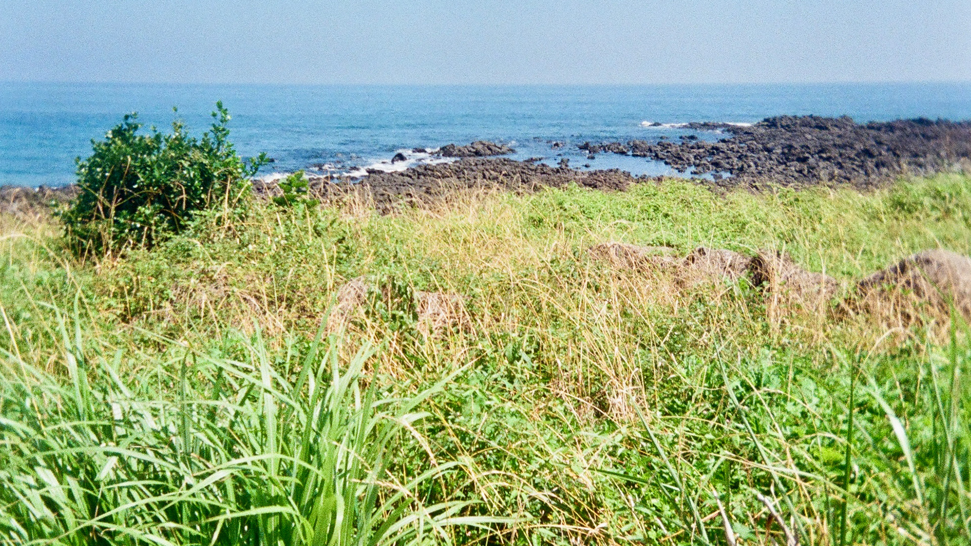 Where is My Cloud Still