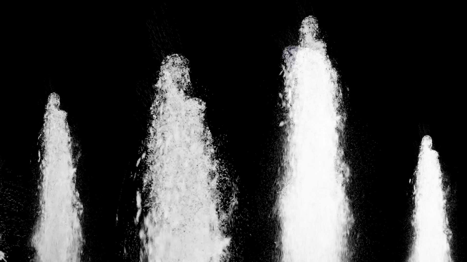 Dream of Salmon Still 1